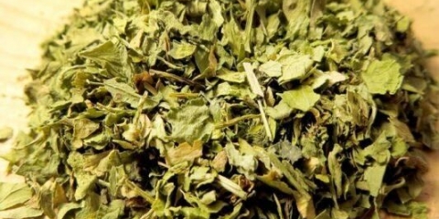 Kako sušiti peršun za zimu kod kuće